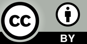 CC BY 4.0